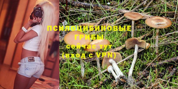 таблы Лиски