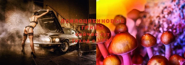 мяу мяу мука Магадан