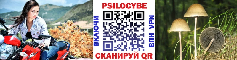 Псилоцибиновые грибы прущие грибы  Яранск 